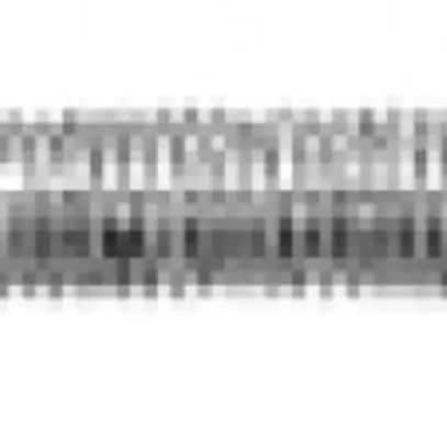 Tige filetée Ammer avec boulon M3×100mm 