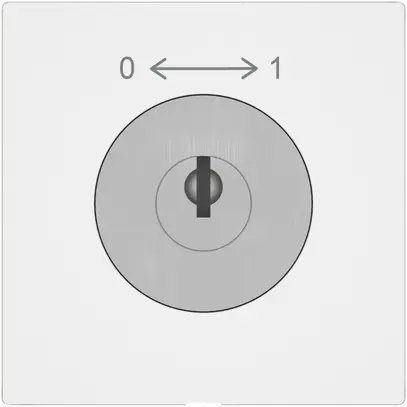 Schwenktaster EDIZIO.liv SNAPFIX® 0<->1/1P mit Schloss & 2 Schlüsseln ws 