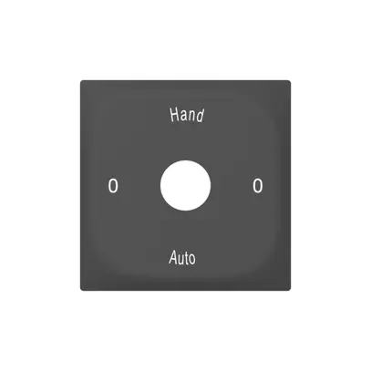 Plaque frontale SIDUS avec gravure anthracite 