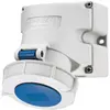 Wandsteckdose CEE 32A 3P 6h 230V blau IP67 Mennekes 