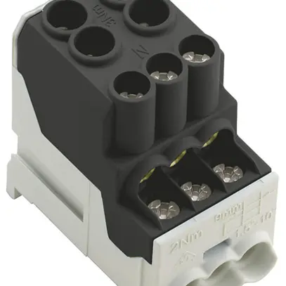 Bloc répartiteur WM WPD 100 2×25/6×10mm² 101A 690V TS35 noir 