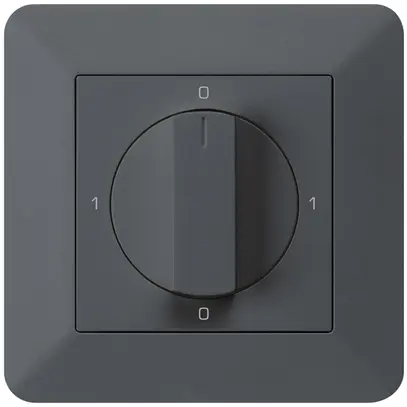 Interruttore rotativo INC kallysto.trend 0/1L antracite con manopola 