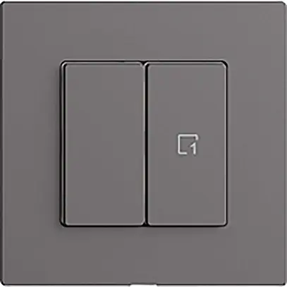 Stazione secondaria per interruttore 1c/2t scena WLAN Edue Wiser grigio scuro 
