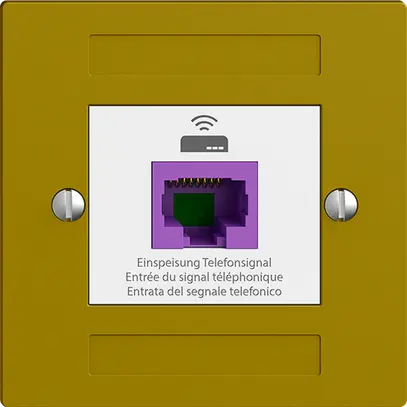 Prise de retour EDIZIOdue F 1×RJ45 p.Swisscom VoIP, 8 pôles, UTP, olive 