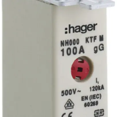 Fusibile HPC Hager DIN000 500VAC 100A gG/gL segnalatore doppio antiruggine 