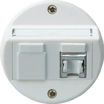 Insert pour prise ENC basico A cat.6 1×RJ45/s sortie oblique blanc 