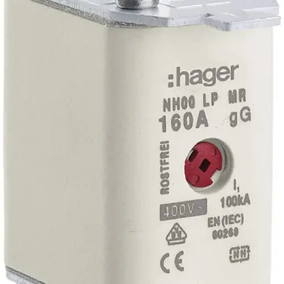 Fusibile HPC Hager DIN1c 400VAC 125A gG/gL segnalatore doppio antiruggine 