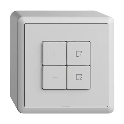 Stazione secondaria per dimmer AP 1c/4t scena WLAN Edue Wiser grigio chiaro 