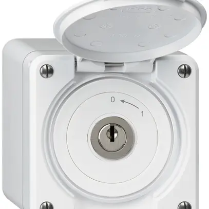 Contatto rotativo chiave AP robusto IP55 bianco con coperchio 2P 