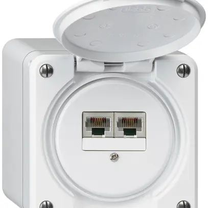 Scatola di raccordo AP robusto IP55 bianco 2×RJ45/s CUC separate 