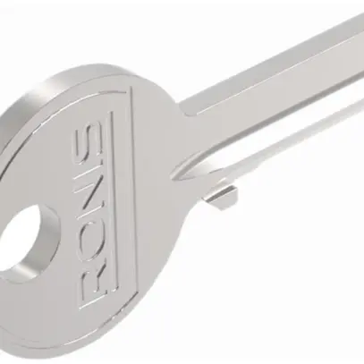 Chiave di ricambio Ronis T254 per interruttore a chiave EAO45, 2pezzi 