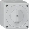 Interruttore rotativo AP robusto IP55 schema 3/1P grigio 