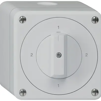Interruttore rotativo AP robusto IP55 schema 3/1P grigio 