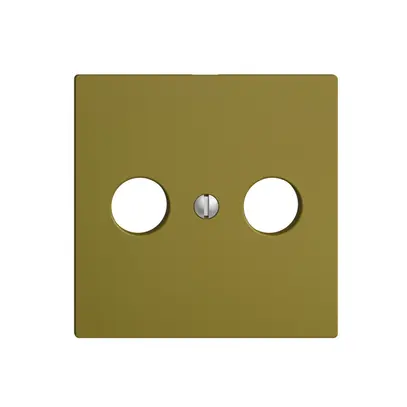 Plaque frontale EDIZIOdue olive pour R/TV 