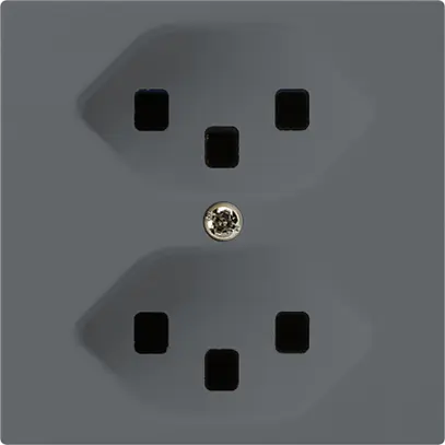 Prise kallysto 2×T23 anthracite avec bornes enfichables 