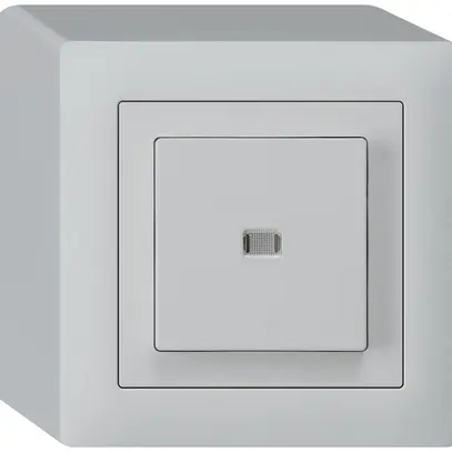 Interrupteur poussoir lumineux AP kallysto 3/2L gris clair 