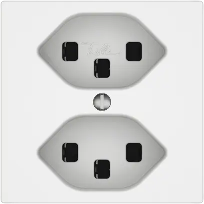 Prise EDIZIO.liv SNAPFIX® 2×T23 bc 