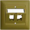 UP-Montageset EDIZIOdue, mit Schrägauslasshaube, für 2×RJ45, olive 