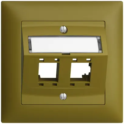 UP-Montageset EDIZIOdue, mit Schrägauslasshaube, für 2×RJ45, olive 
