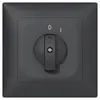 Pulsante rotativo INC SIDUS B 1×contatto di lavoro antracite 