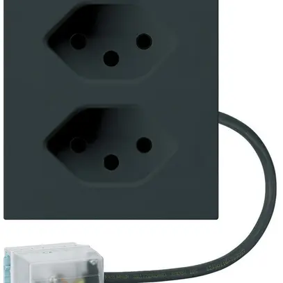 Prise INC 2×type 13 Hager FLF pour câble plat Ecobus power L1 noir 