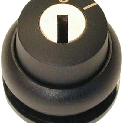 Bouton à clé ETN RMQ 2 pos. O-I à rappel sz, Ring sz 