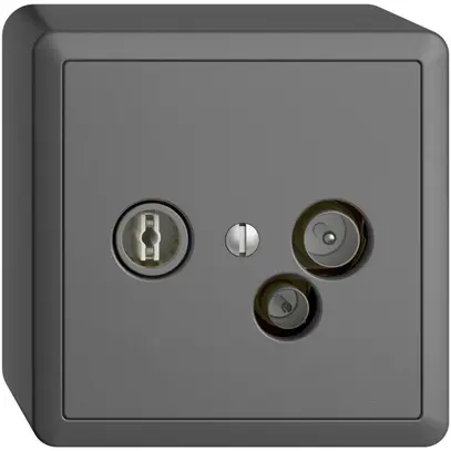 Prise de données AP TV-R DD19 5…65MHz EDIZIOdue gris foncé 