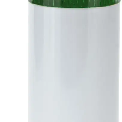 Lampe flash Hugentobler type 10 230VAC vert 