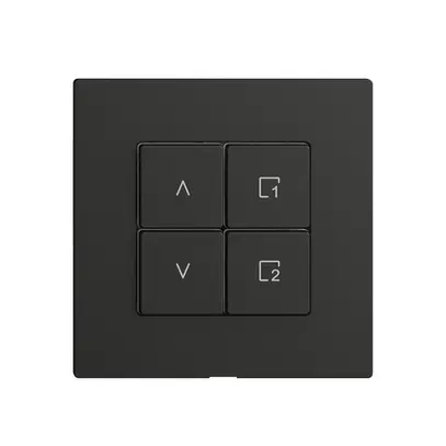 Comando per interruttore tapparelle 1c scena/4t Edue Wiser nero 