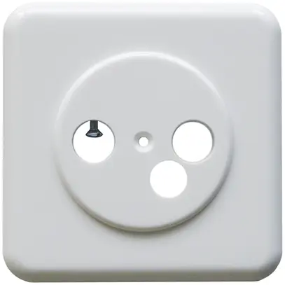 Plaque de recouvrement pour boîte de données DD blanc 