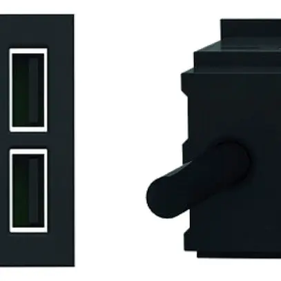 EB-USB-Ladesteckdose BACHMANN 2×USB-A 12W 100…250V 5V IP20 