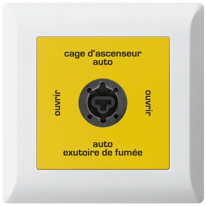 UP-Schlüsselschalter kallysto.line für Rauchabzug Text französisch weiss 
