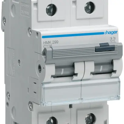 Disgiuntore Hager MCB 2P 400V tipo C 125A 3UM 