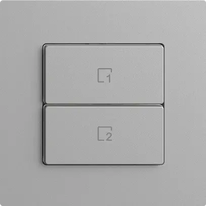 Pulsante scena 2 scene verticale/2T Edue Wiser silver 