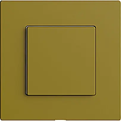 Nebenstelle zu Druckschalter 1K/1T WLAN Edue Wiser olive 