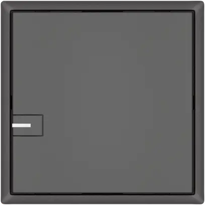 Pulsante KNX RGB EDIZIO.liv SNAPFIX® sensore temp.RGB-LED 1× com.1T grs 