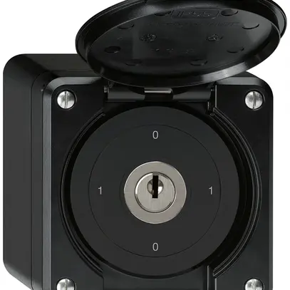Interruttore a chiave AP robusto IP55 con copertura S0/1P nero 