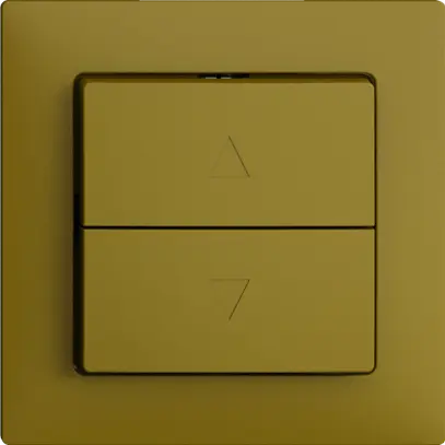 UP-Storenschalter EDIZIOdue F olive 1-Kanal 