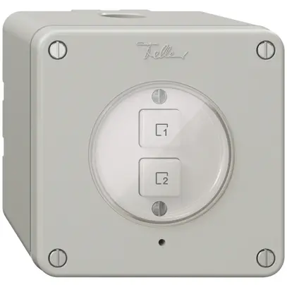 Poussoir scène AP 2 scènes vertical/2T NEVO Wiser gris clair 