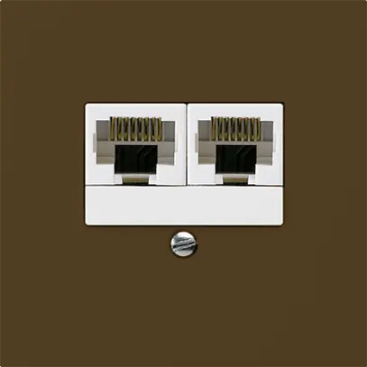 UP-Dose kallysto 2×RJ45u getrennt braun 