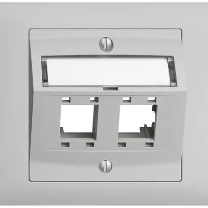 Kit de montage INC Edue BKE, avec capot de sortie oblique, p.2×RJ45, gris clair 