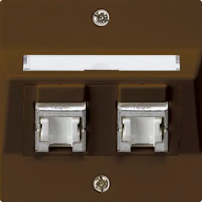 Kit de montage ENC kallysto A cat.6 2RJ45/s brun 