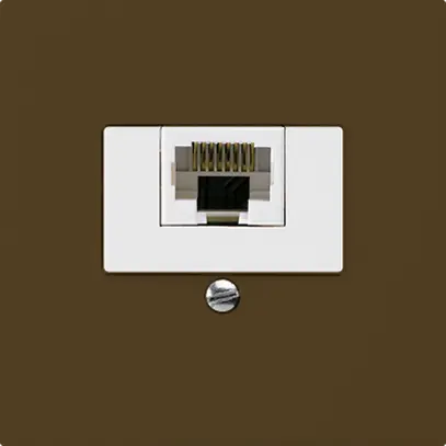 Insert pour prise de raccordement kallysto 1×RJ45u brun 