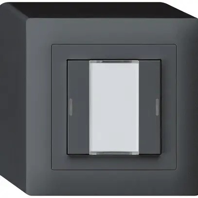 AP-Taster kallysto KNX 2×anthrazit RGB LED s/e-link 