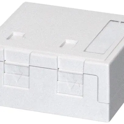 Scatola di raccordo AP KS Dätwyler bianco per 2 moduli con prot.antipolvere 