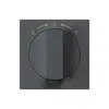 Frontset für SchwenkTaster anthrazit 60×60mm kallysto 1->0<-2 