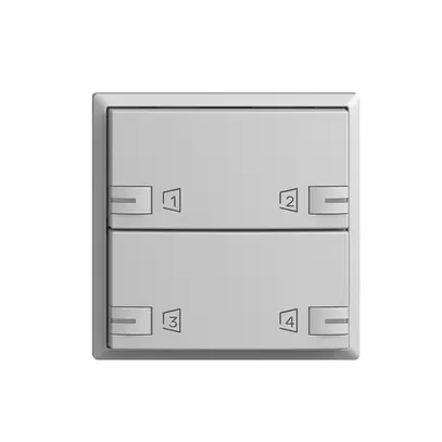 Montageset EDIZIOdue zeptrionAIR F, WLAN, RGB-LED, 2×Taste, 2×Bedienung hgu 