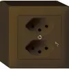Prise AP kallysto 2×T13/1 brun 