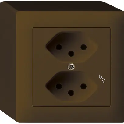 Prise AP kallysto 2×T13/1 brun 