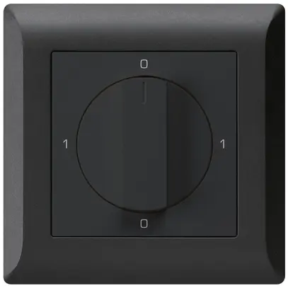 Interruttore rotativo INC kallysto.line 0/2L nero con manopola 
